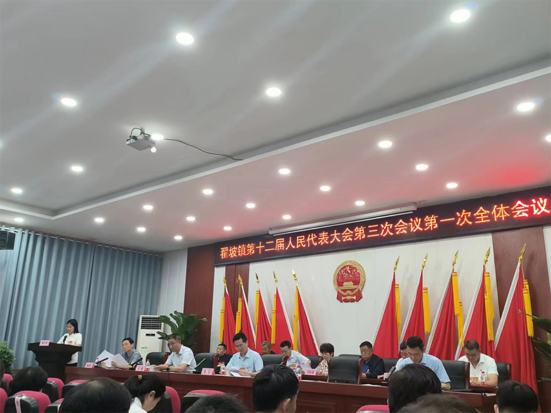 全面學習領會精神 凝心聚力謀發展